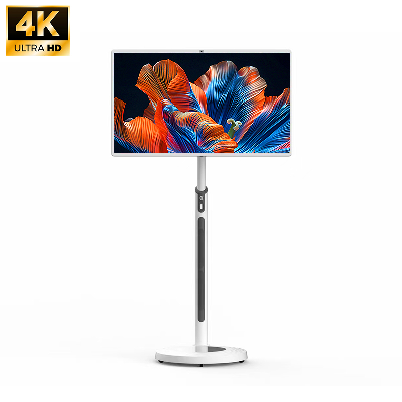 Kinstone 32 inch all-in-one smart TV，Camera with hidden option